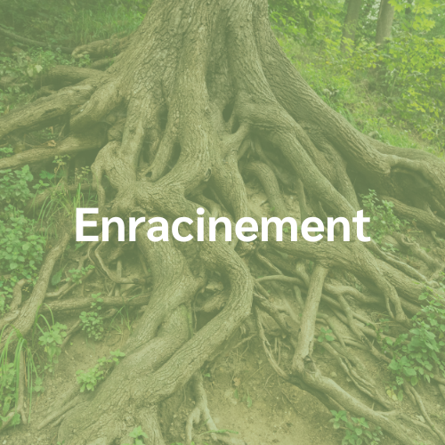 enracinement